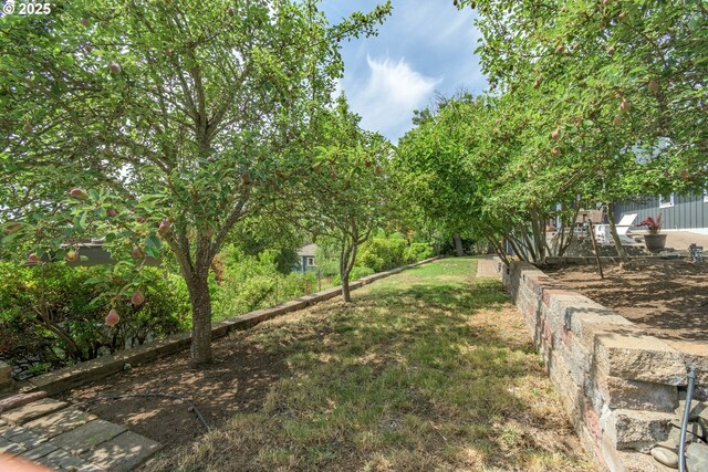 2780 Spring Blvd, Eugene, OR 97403 - view of yard