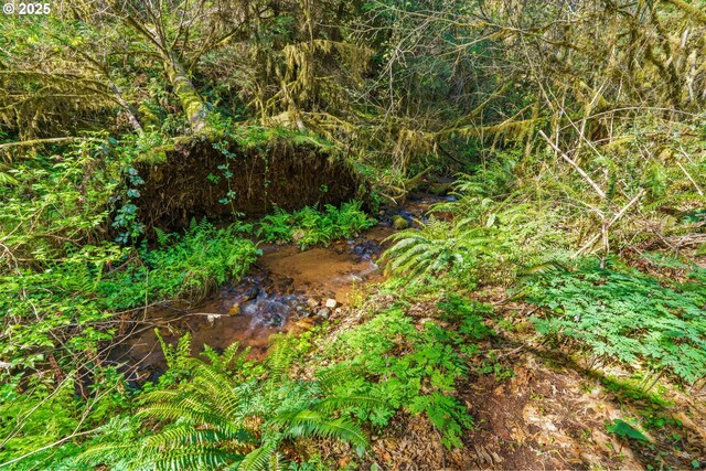 95116 Marcola Rd, Marcola, OR 97454 - view of local wilderness