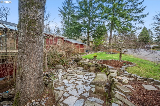 view of yard featuring a patio area