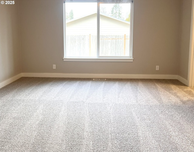 spare room featuring carpet floors