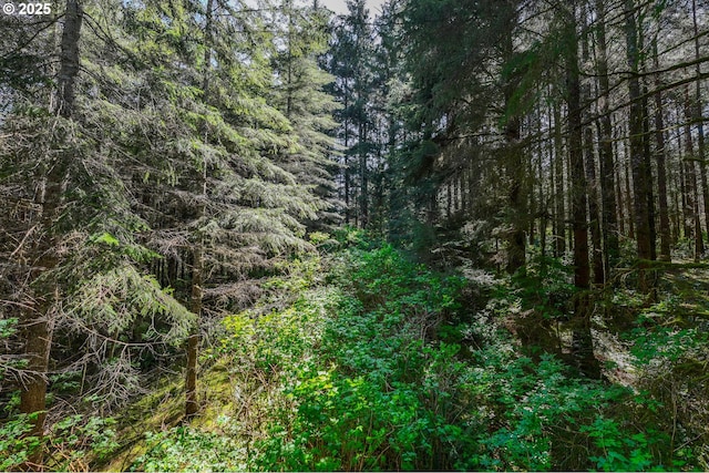 S Beaver Creek Rd, Seal Rock, OR 97376