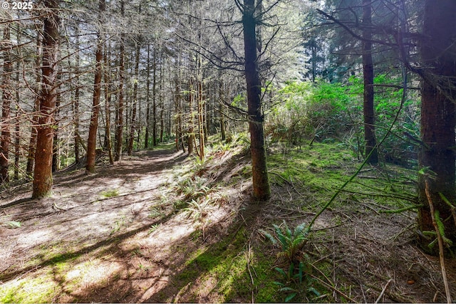 S Beaver Creek Rd, Seal Rock, OR 97376