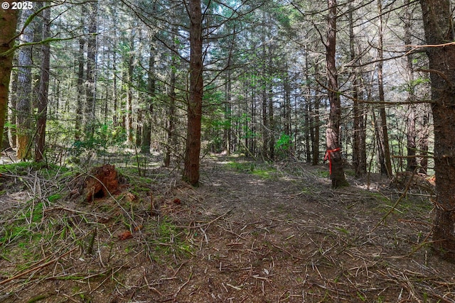 S Beaver Creek Rd, Seal Rock, OR 97376