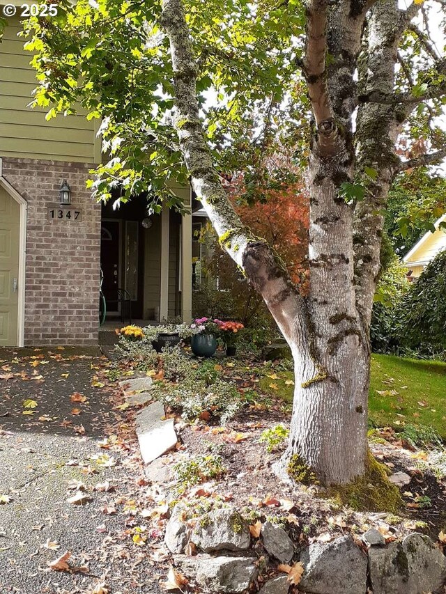 1347 NE Paloma Ave, Gresham, OR 97030 - view of yard