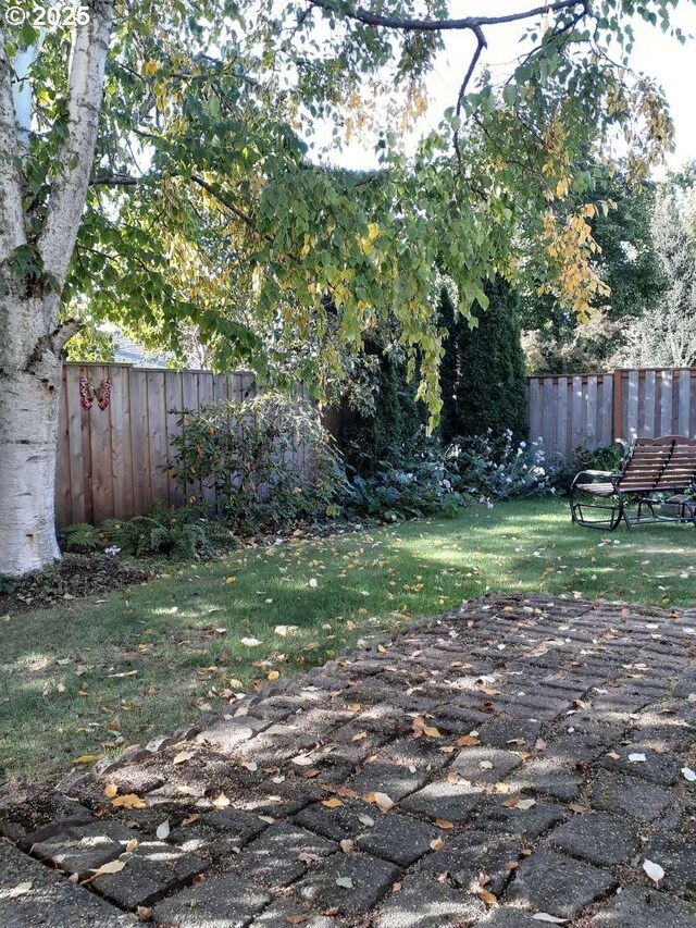1347 NE Paloma Ave, Gresham, OR 97030 - view of yard