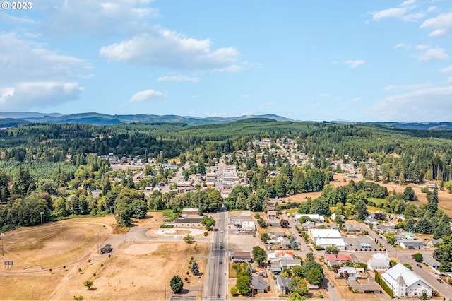 drone / aerial view with a forest view and a mountain view