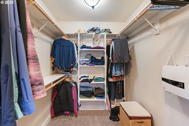 spacious closet with carpet floors