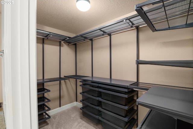 walk in closet featuring carpet flooring