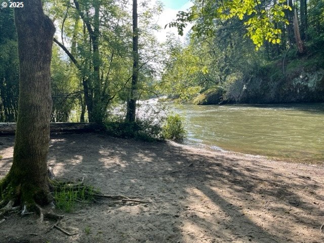 view of yard with a water view