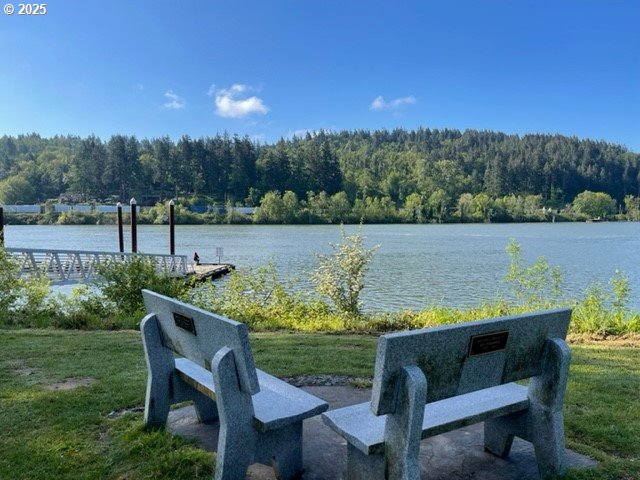 1043 Meek Way W, Linn, OR 97068 - water view with a forest