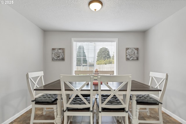 dining room with a textured ceiling