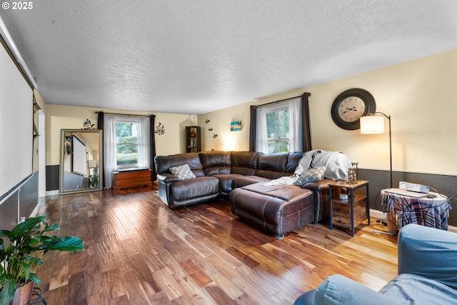 living room with a textured ceiling and wood-type flooring