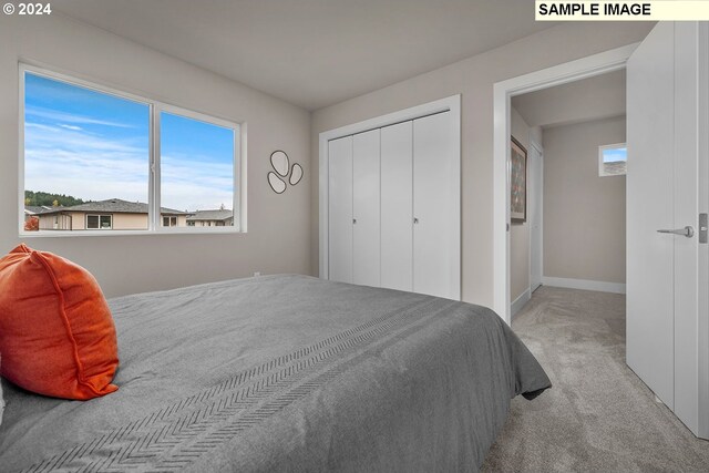 bedroom with carpet, multiple windows, baseboards, and a closet