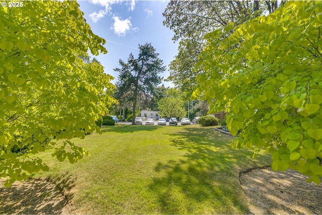 6825 SW Capitol Hill Rd Unit 27, Portland, OR 97219 - view of green lawn