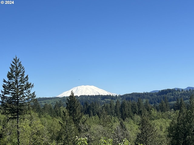 view of mountain feature with a wooded view