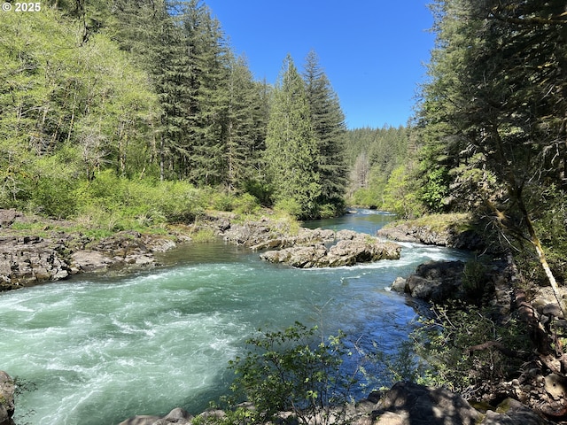 property view of water with a forest view