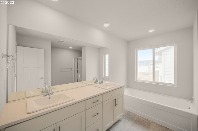 bathroom with vanity and a bathing tub