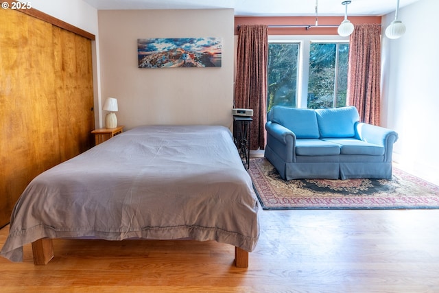 bedroom featuring wood finished floors and a closet