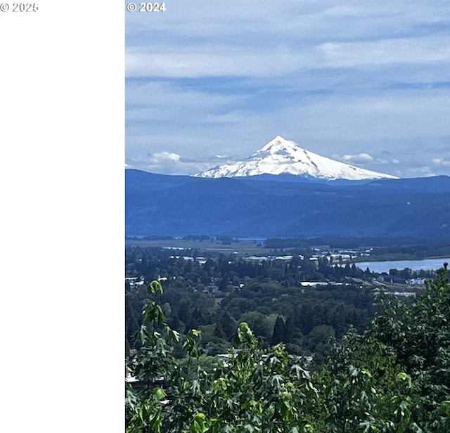 property view of mountains with a water view