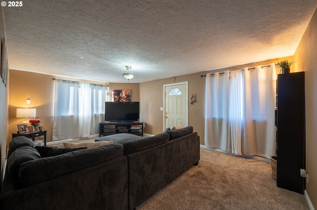 carpeted living area with a textured ceiling