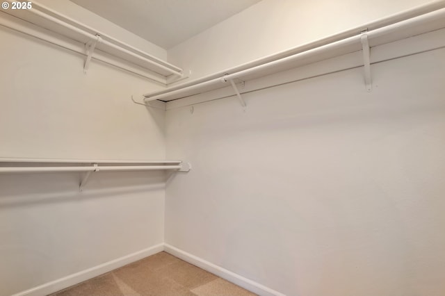 18005 SW Monte Verdi Blvd, Beaverton, OR 97007 - spacious closet with light carpet