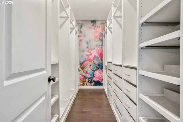 walk in closet with dark hardwood / wood-style flooring