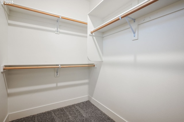 spacious closet featuring carpet flooring