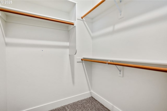 spacious closet with carpet flooring