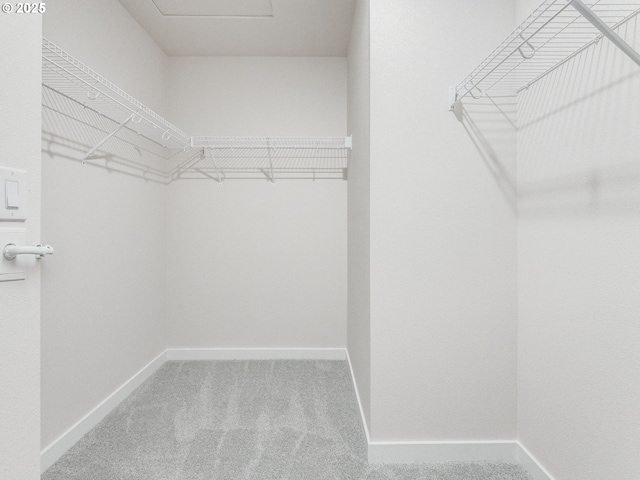 736 NW 178th Way, Ridgefield, WA 98642 - walk in closet featuring carpet floors