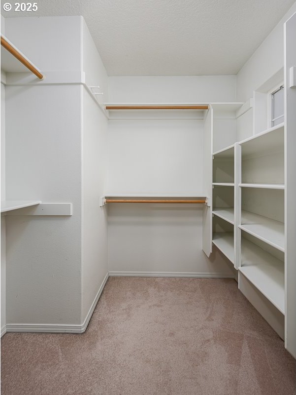 walk in closet featuring light carpet