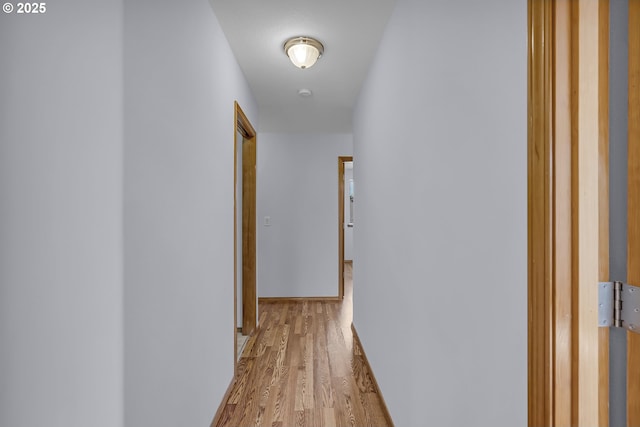 13007 SE Raymond Ct, Portland, OR 97236 - corridor with light wood-style floors and baseboards