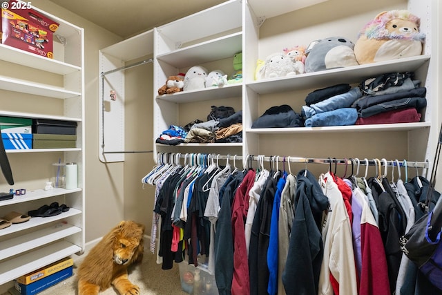 2036 NW Village Cir, Portland, OR 97229 - view of walk in closet