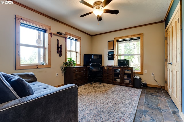 86561 R R Baker Rd, Springfield, OR 97478 - home office with stone tile flooring, plenty of natural light, ceiling fan, crown molding, and baseboards