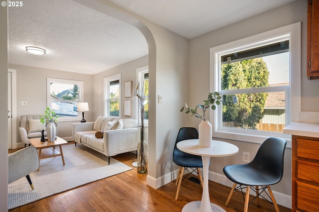 living area featuring a textured ceiling, a healthy amount of sunlight, and hardwood / wood-style flooring