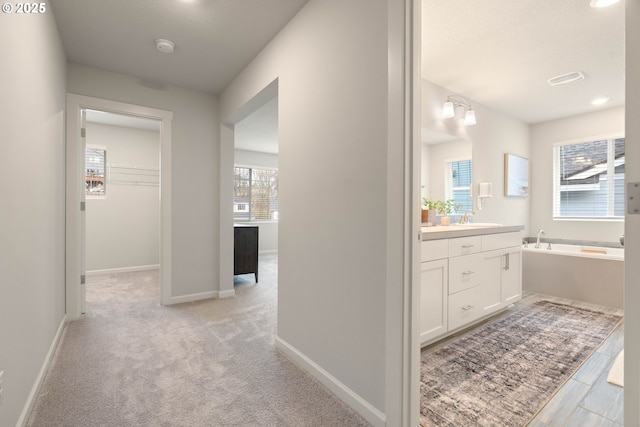 interior space with a sink, baseboards, and light colored carpet
