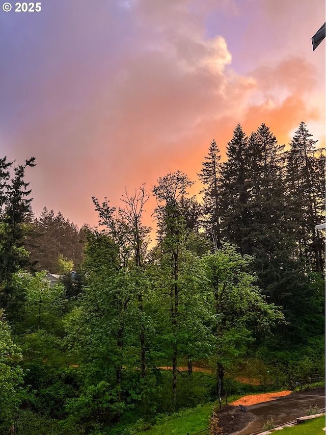 view of landscape