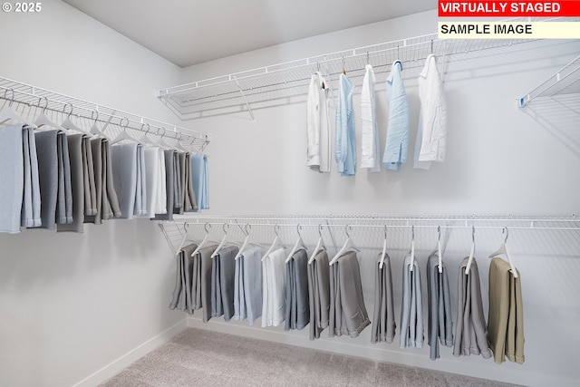 walk in closet with radiator heating unit and carpet flooring