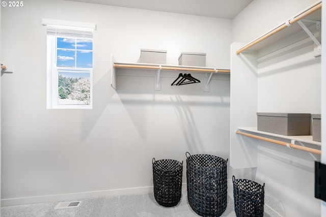5591 N 87th Ave, Camas, WA 98607 - view of spacious closet