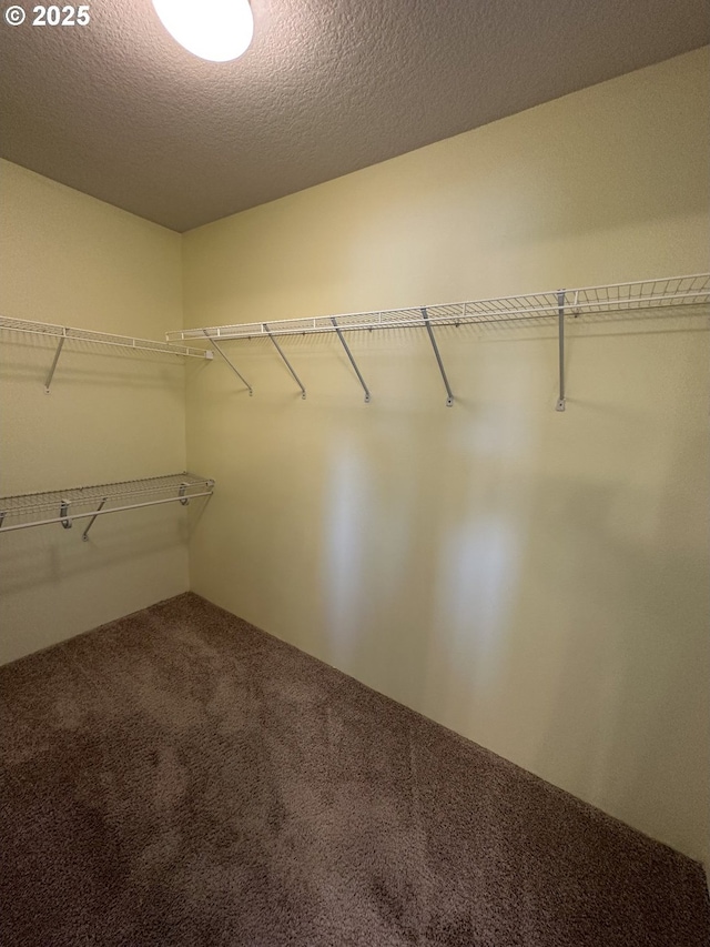 walk in closet featuring carpet floors
