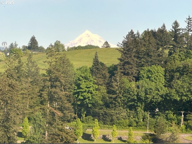 view of mountain background