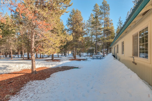 view of snowy yard