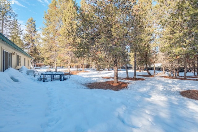 view of yard layered in snow