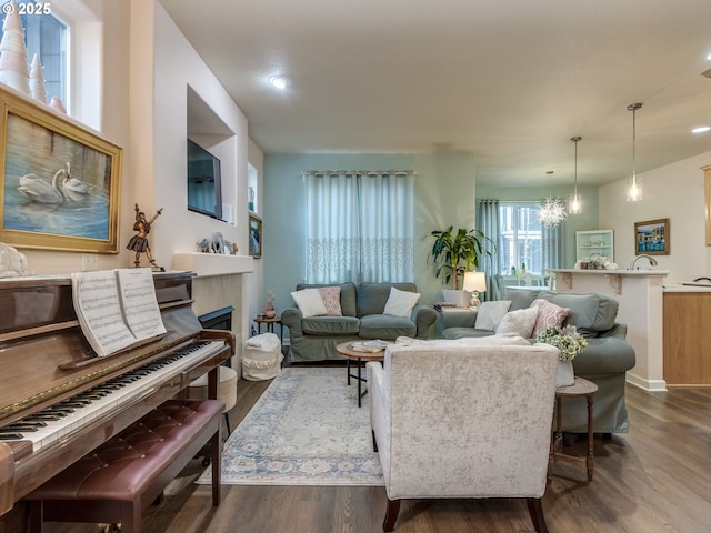 living room with dark hardwood / wood-style flooring