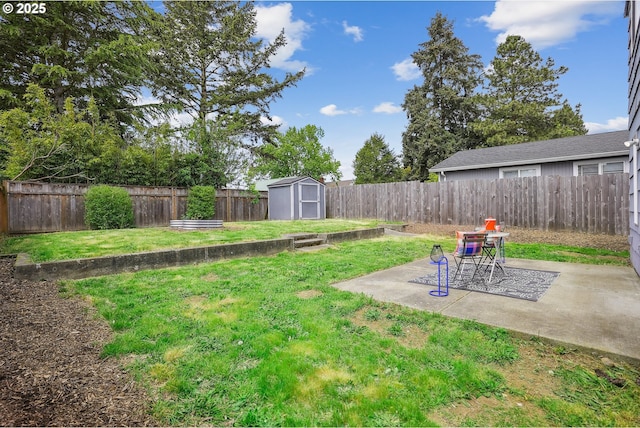 view of yard featuring a storage unit, a patio area, and an outbuilding