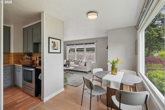dining room featuring light wood-style floors