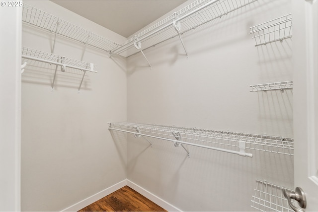 spacious closet featuring dark wood-type flooring