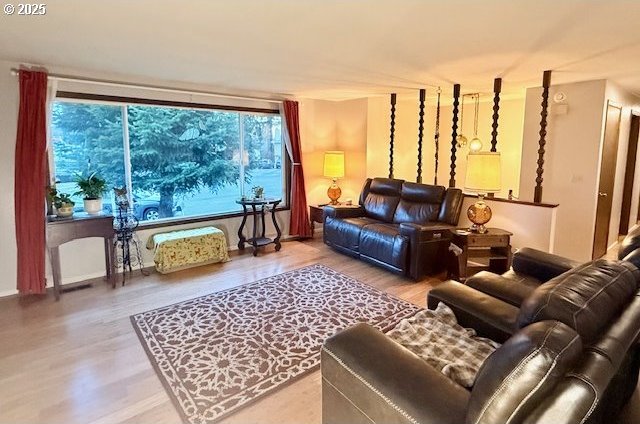 living room featuring wood-type flooring