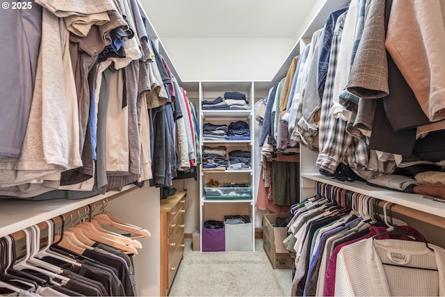 spacious closet with carpet flooring