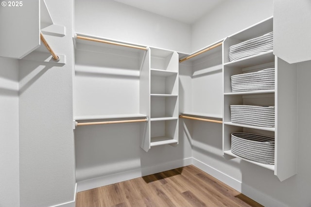 spacious closet featuring wood finished floors
