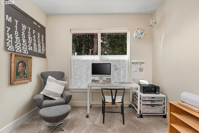 office space featuring baseboards and carpet flooring